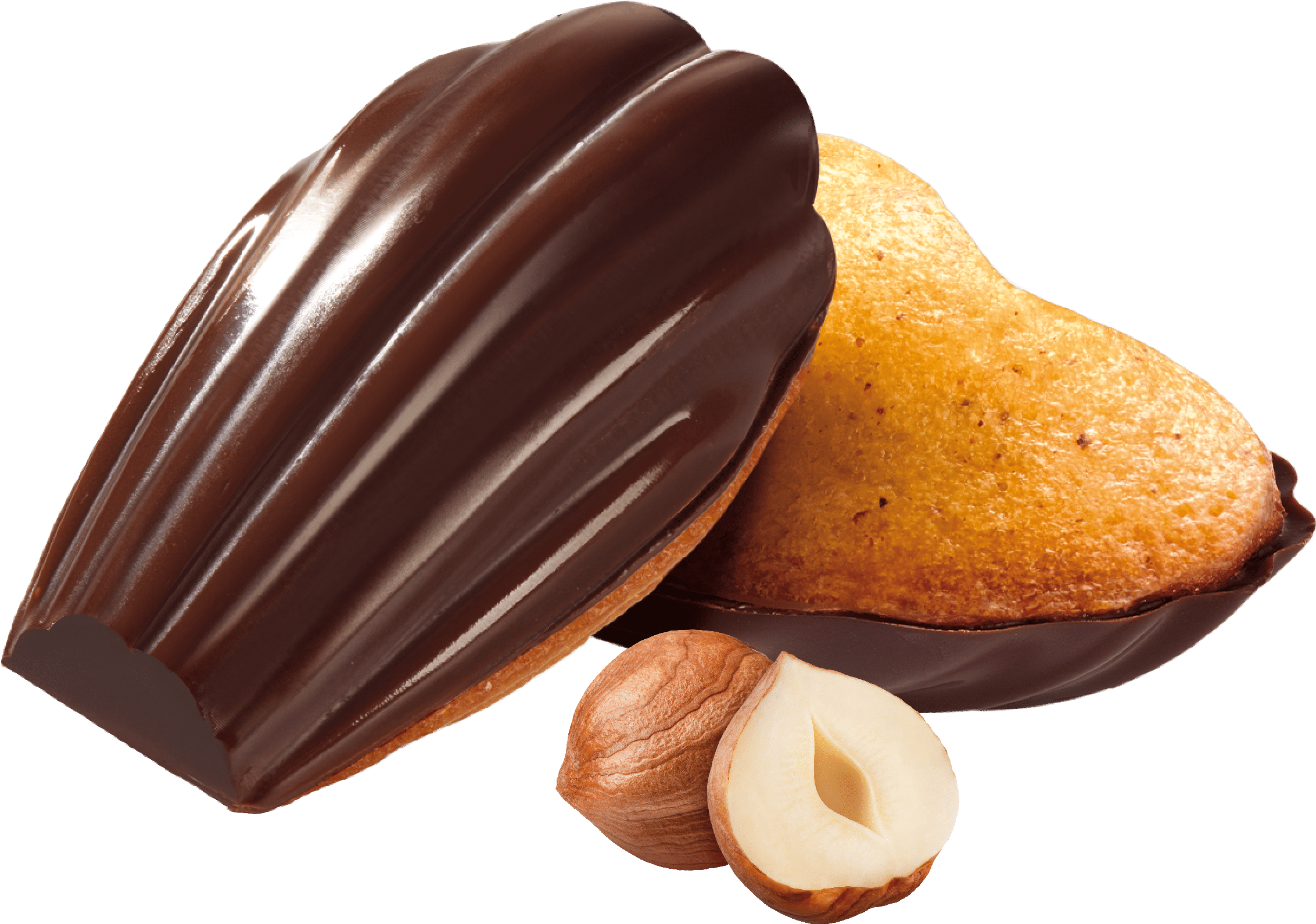 Madeleine noisette et sa coque en chocolat.